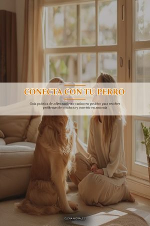 Conecta con tu Perro