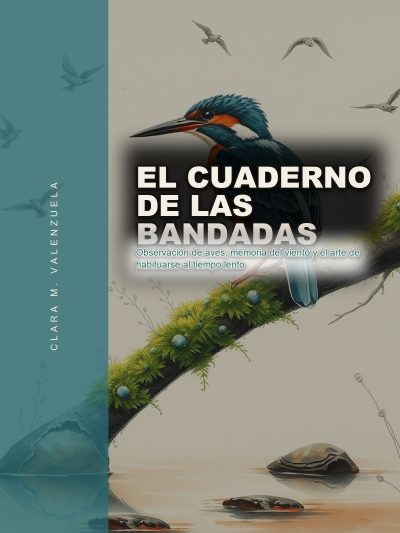 El Cuaderno de las Bandadas: Observación de aves, memoria del viento y el arte de habituarse al tiempo lento